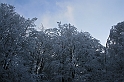 Bieszczady 12.2007 047
